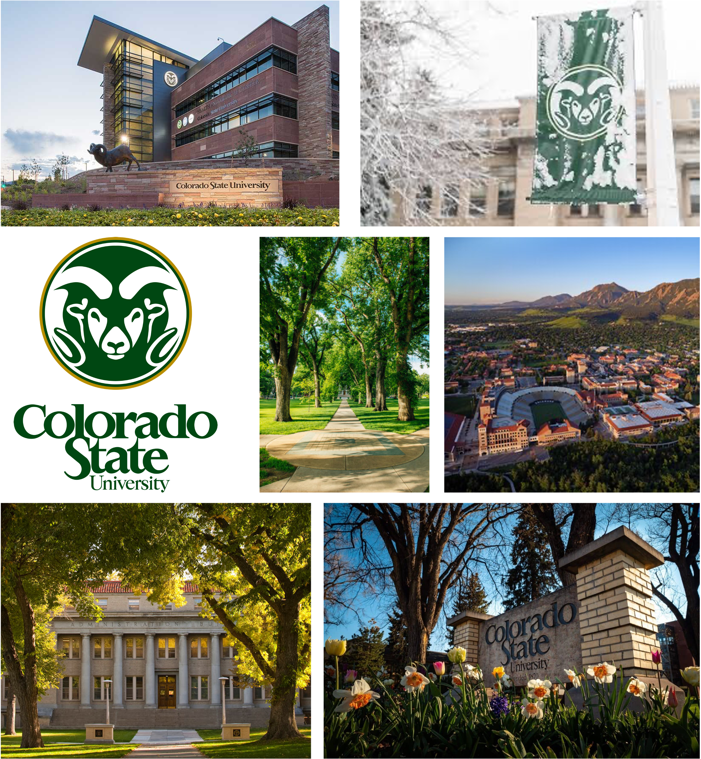 CSU